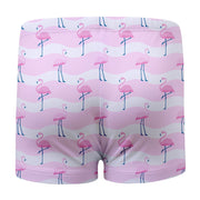 Sandy Feet Australia Swim Shorts FLAMINGO FLAMBOYANCE SWIM SHORTS